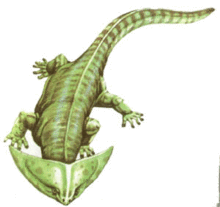 「伪百科」盘点昭和奥特曼中的古生物（终话）