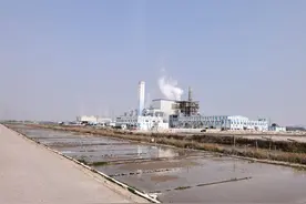 注意啦，“温岭东部新区”至“黄礁岛”已经恢复通行图片