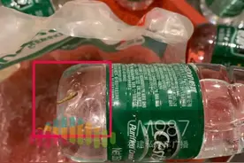 看吐！福州一知名平台买到的矿泉水爬满活蛆图片