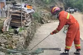 吓人！3.5米眼镜王蛇现广西村民门口，不怕雄黄，专以毒蛇为食图片