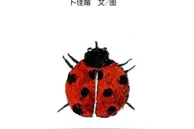 双十一囤绘本，看这一篇就够了，赶紧收藏起来图片