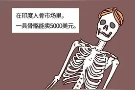 假如把全身器官卖到黑市，到底能值多少钱？漫画科普图片