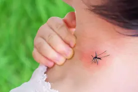 夏季来了，蚊虫叮咬让人难以忍受，这6个方法能缓解蚊子咬得痛苦图片