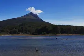 南美火地岛：地理、生态、人类活动和土地利用变化的综合分析图片