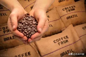 咖啡豆的这些常识，看似常识实则是坑图片