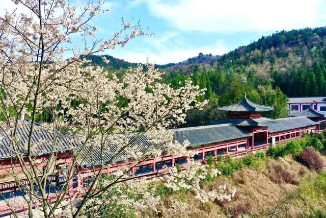 四川省民生研究会新媒体中心-官网