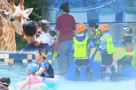 充实一“夏”，来围观深圳人怎么“花式”过暑假→图片