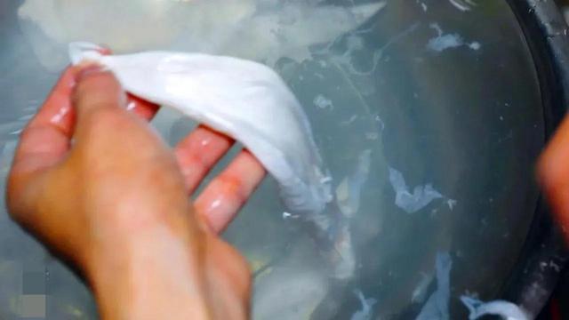 最贵的鱼胶多少钱一斤 最贵鱼胶多少钱一斤2023年价格