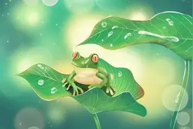 红颜知己，是灵魂深处的爱图片