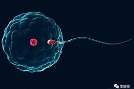 重磅数据：你的试管反复失败，六成以上都和它有关！图片