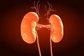 吃腰子真的养肾？医生：真正补肾的或是这4物，可能多数人不爱吃图片