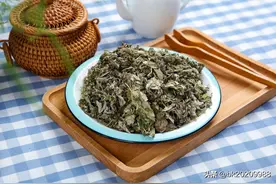 中药青蒿有什么功效和作用 中药青蒿具有调节免疫能力的作用吗图片