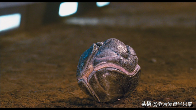盘点《星河战队》虫族兵种，从低级兵，讲到女王和虫神