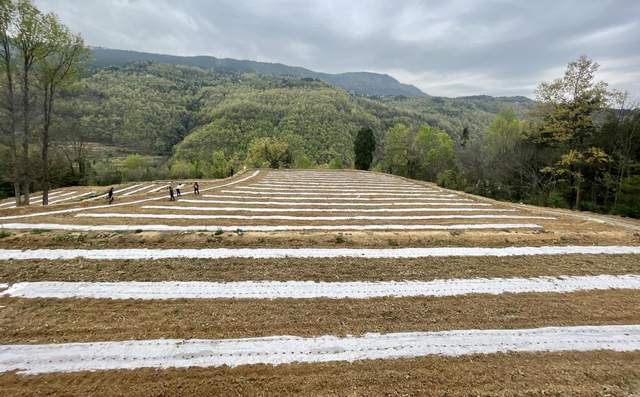 四川省民生研究会新媒体中心-官网