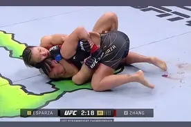 UFC281：张伟丽第二回合降服卡拉 重夺草量级金腰带图片