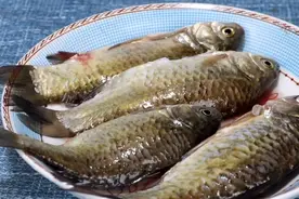 煮鱼汤时，放热水还是冷水，好多人做错了，难怪汤不白还有腥味图片