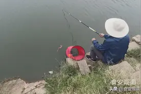 秋季钓鱼是钓灵还是钓顿好看看钓友黑漂和顶漂都打不中鱼明白了图片