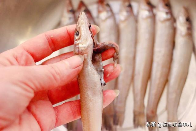 1,老年人吃什么鱼好
