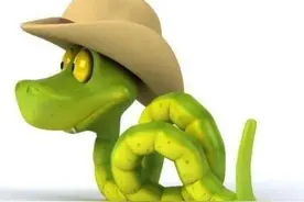 为什么有人说“蛇吃黄鳝比长短”？蛇真的不能吃黄鳝吗？图片