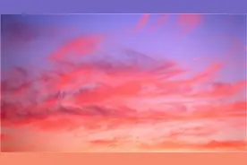 黄帝内经视频讲座全集曲黎敏，生命沉思录养生系列课程图片