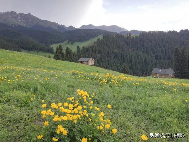 一万泉美景