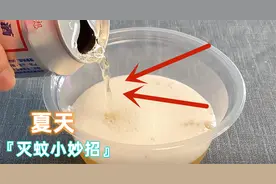 睡觉时蚊子嗡嗡叫？教你用一听啤酒，蚊子消灭光，比蚊香还管用图片