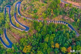 2023高考英语阅读理解高频词汇背诵图片