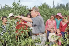 奋进新征程 建功新时代·非凡十年｜退休厅官李鹏：奔走在脱贫攻坚路上图片