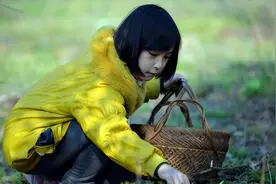 医生建议：生活中常见的这4类野菜，尽量少碰，别再傻傻当成宝了图片