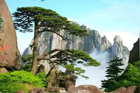 给想去黄山旅游者的一点参考图片