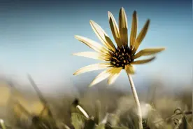 命里出现这三种人，多半是来“祸害”你的，赶紧断交图片