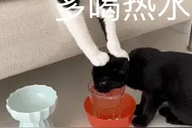 可爱搞笑的表情包：多喝热水图片