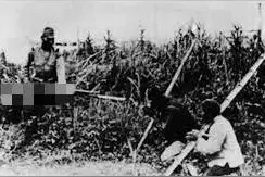 1938年，日军占领南京后，一对豪门夫妻的凄惨遭遇图片