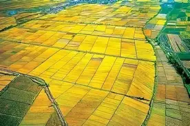 农村土地打乱重分，实行“一户一田”，农民支持吗？图片