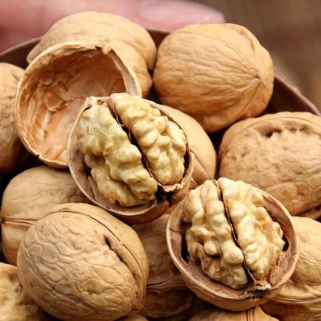 寤鸿灏戠粰瀛╁瓙鍚冭惀鍏诲搧锛屽鍚?绉嶉鐗╋紝渚垮疁鍙堣惀鍏伙紝甯稿悆灏戠敓鐥? onerror=