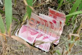 地上掉的钱，为何不能捡？尤其是百元大钞，学会了记得告诉家人图片