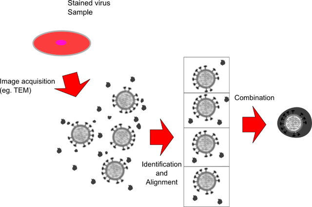 鍦ㄨ繖鏂归潰锛孉I鐨勬晥鐜囨槸鐢熺墿瀛﹀鐨勪笂涓囧€? onerror=