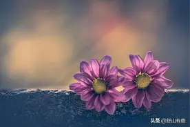 原来，你这辈子的苦，就是你上辈子的“债”，逃不掉的图片