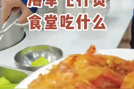 海军飞行员伙食多土豪？海鲜大肉随便夹，简简单单4荤3素把人看饿图片