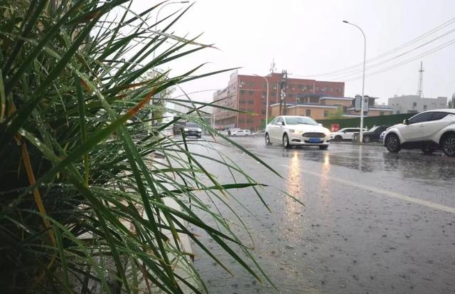 刚刚，营口最新雨情数据发布！