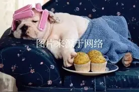 你所认识的人当中那些好吃懒做的人最后都过得怎么样了？图片