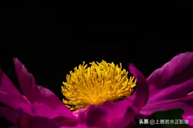 长安十三朝之唐都长安图片