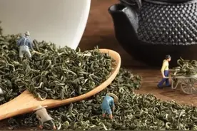 带你了解碧螺春图片