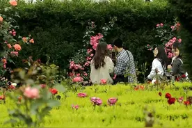 秋日游园指南！走进云岩 邂逅贵阳绝美的秋图片