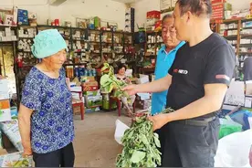 农业小虫危害大，国外研制出环保杀虫喷雾剂，有望解决白粉虱危害图片