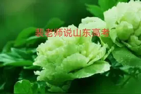 山东省2023年艺术类统考时间公布：并文学编导类考前自学策划图片