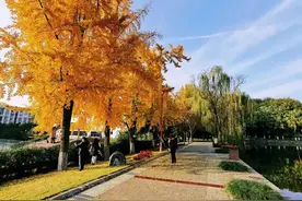 西南石油大学南充校区值不值得读图片