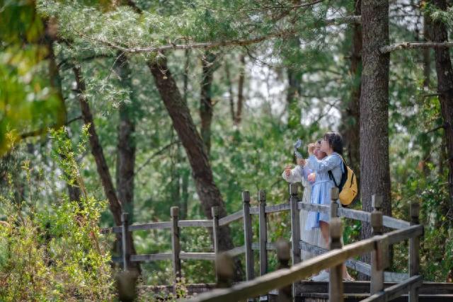 腾冲旅游攻略(云南旅游攻略路线最佳路线)