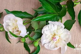 《瓦尔登湖》中10条经典名句：善是永远不亏本的投资图片