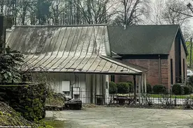 黑色霉菌入侵美国小镇，铺天盖地！居民痛苦不堪，有人罹患癌症？图片